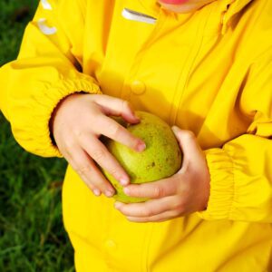 Інтенсив: Сад без хімії