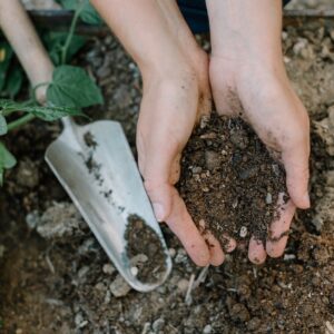 Інтенсив: Садотерапія