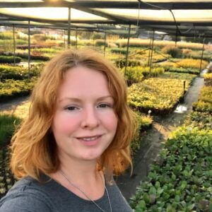 Вебінар: Путівник по декоративних травах