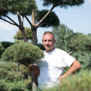 Вебінар: Створення нівакі