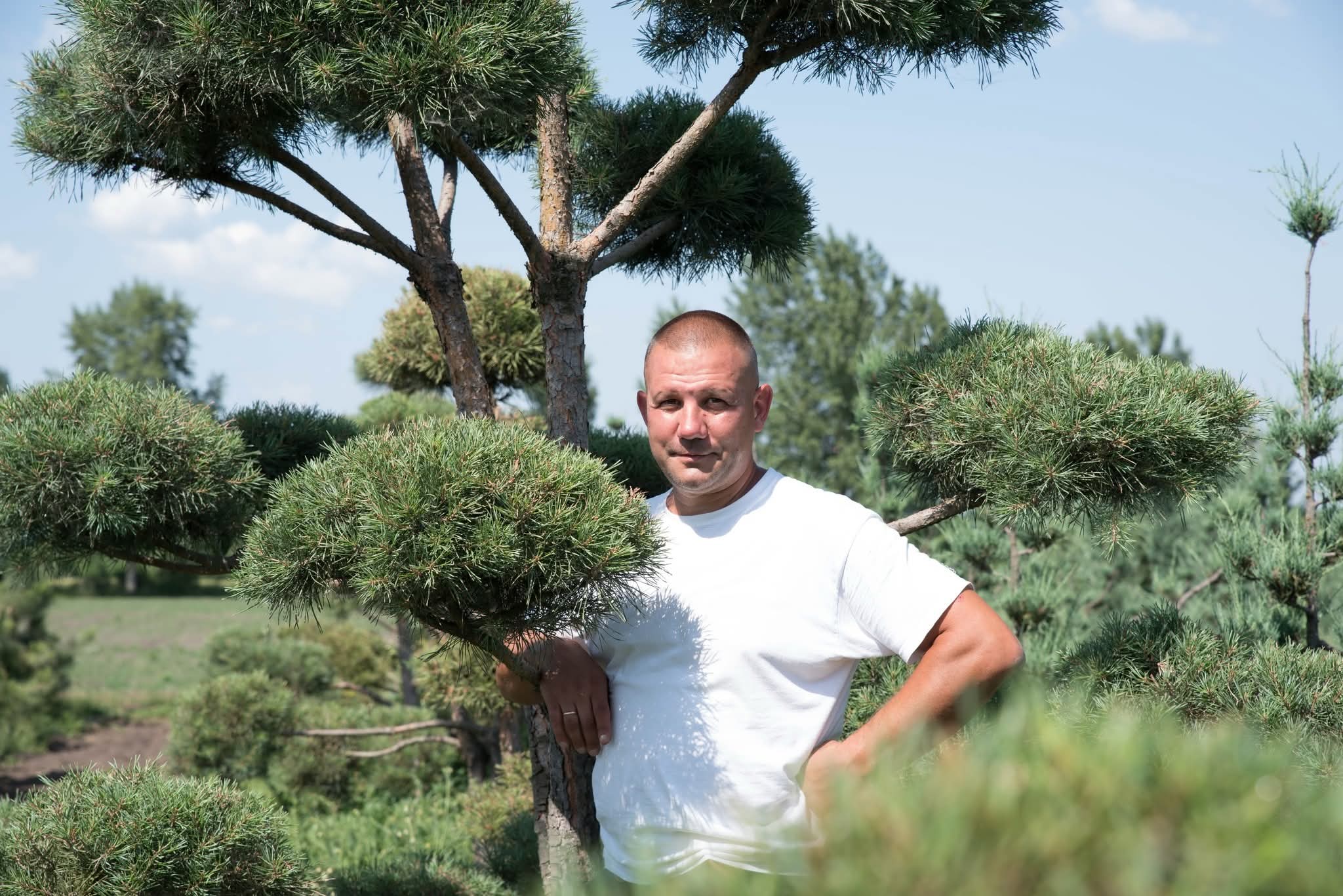 Вебінар: Створення нівакі