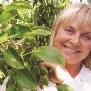 Вебінар: Вітамінний сад: вирощуємо плодові ліани